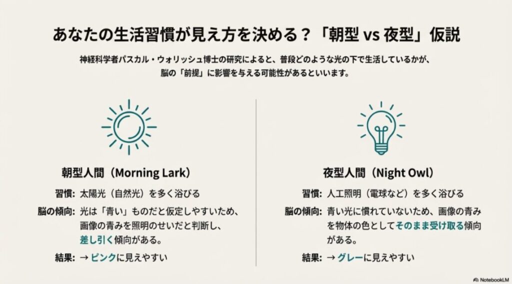 太陽光を浴びる朝型人間は画像をピンクに見やすく、人工照明を浴びる夜型人間はグレーに見やすいという説を示す、太陽と電球のアイコン比較図。