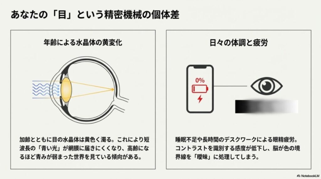 加齢に伴う水晶体の黄変化によって青い光が届きにくくなる仕組みと、疲労によるコントラスト感度低下の解説。